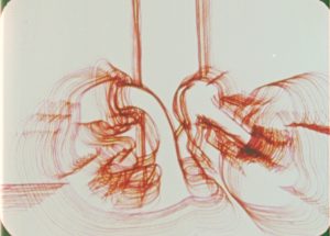 Flesh Flows by adam k beckett