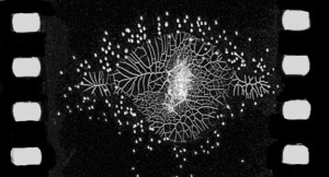 elementofLight1